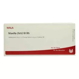 MAXILLA feti GL D 5 ampulí, 10X1 ml