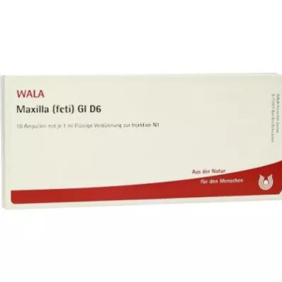MAXILLA feti GL D 6 ampulí, 10X1 ml