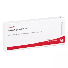 MUSCULI GLUTAEI GL D 5 ampulí, 10X1 ml