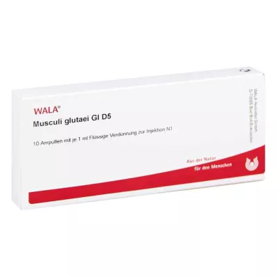 MUSCULI GLUTAEI GL D 5 ampulí, 10X1 ml