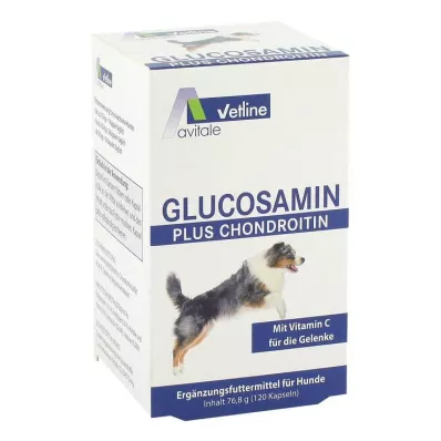 GLUCOSAMIN+CHONDROITIN Kapsle pro psy, 120 ks