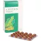 LECITHIN KAPSELN biolog.alsitan, 60 ks