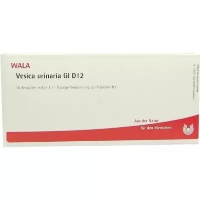 VESICA URINARIA GL D 12 ampulí, 10X1 ml