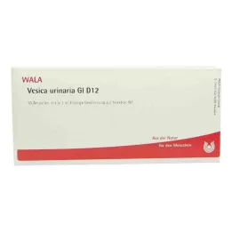 VESICA URINARIA GL D 12 ampulí, 10X1 ml