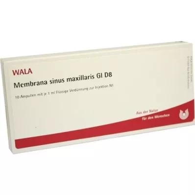 MEMBRANA sinus maxillaris GL D 8 ampulí, 10X1 ml
