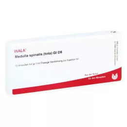 MEDULLA SPINALIS tota GL D 8 ampulí, 10X1 ml