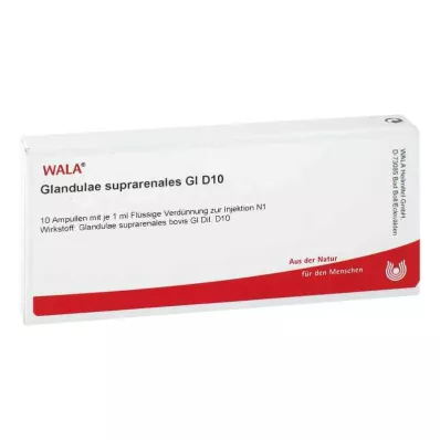 Glandulae supraren.Gl D10 ampule (10x1 ml) Glandulae supraren.Gl D10 ampule (10x1 ml)