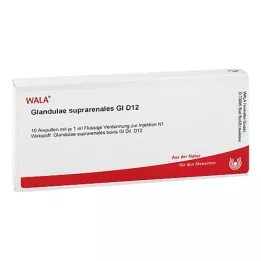 GLANDULAE SUPRARENALES GL D 12 ampulí, 10X1 ml