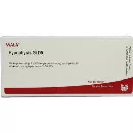 HYPOPHYSIS GL D 5 ampulí, 10X1 ml