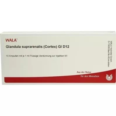 GLANDULA SUPRARENALES kůra GL D 12 ampulí, 10X1 ml