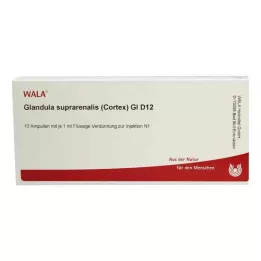 GLANDULA SUPRARENALES kůra GL D 12 ampulí, 10X1 ml