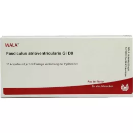 FASCICULUS atrioventricularis GL D 8 ampulí, 10X1 ml