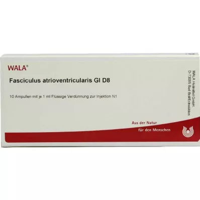 FASCICULUS atrioventricularis GL D 8 ampulí, 10X1 ml FASCICULUS atrioventricularis GL D 8 ampulí, 10X1 ml