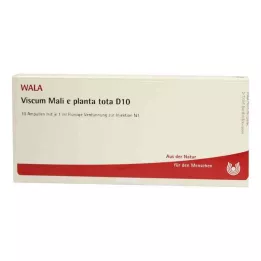 VISCUM MALI e planta tota D 10 ampulí, 10X1 ml
