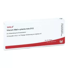 VISCUM MALI e planta tota D 12 ampulí, 10X1 ml