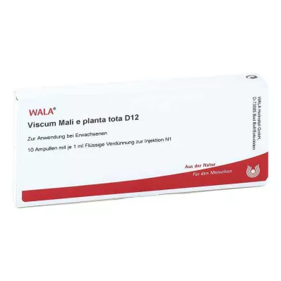 VISCUM MALI e planta tota D 12 ampulí, 10X1 ml