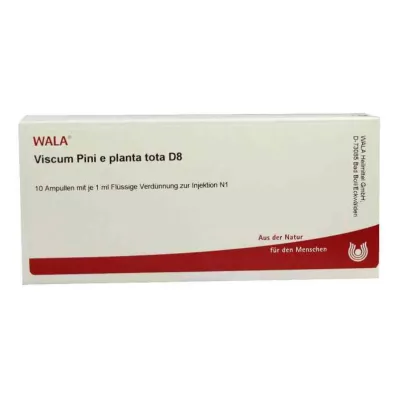 Viscum Pini e planta tota D8 ampule (10x1 ml)