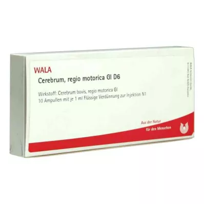 Cerebrum Regio Motor Gl D6 ampule (10x1 ml)
