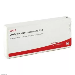 CEREBRUM REGIO motorica GL D 30 ampulí, 10X1 ml