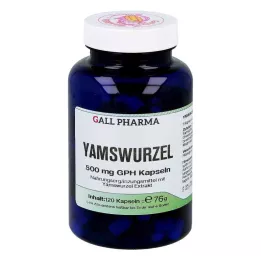 YAMSWURZEL 500 mg GPH Kapsle, 120 ks
