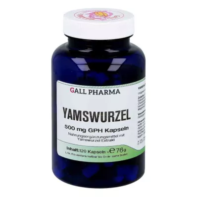 YAMSWURZEL 500 mg GPH Kapsle, 120 ks