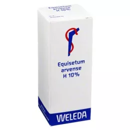 EQUISETUM ARVENSE H 10% mastný liniment, 50 ml