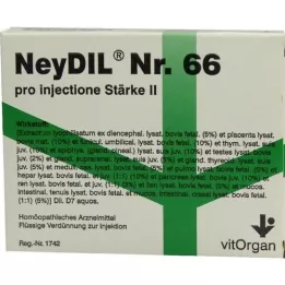 NEYDIL No.66 pro injectione St.2 Ampule, 5X2 ml