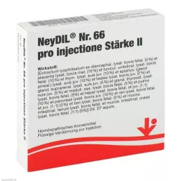 NEYDIL No.66 pro injectione St.2 Ampule, 5X2 ml