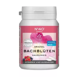 ENERGIE KAUGUMMI podle Dr.Bacha 40 ks