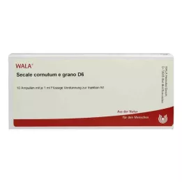 SECALE CORNUTUM E grano D 6 ampulí, 10X1 ml