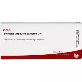 SOLIDAGO VIRGAUREA ex herba D 6 ampulí, 10X1 ml