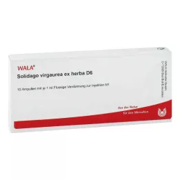 SOLIDAGO VIRGAUREA ex herba D 6 ampulí, 10X1 ml