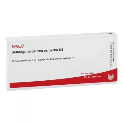 SOLIDAGO VIRGAUREA ex herba D 6 ampulí, 10X1 ml
