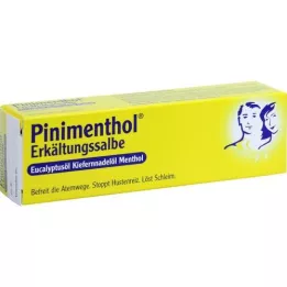 PINIMENTHOL Chladivá mast Eucal./Pine./Menth., 20 g