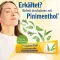 PINIMENTHOL Mast proti nachlazení Eucal./Pine./Menth., 100 g