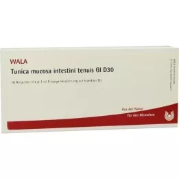 TUNICA mucosa intestini tenuis GL D 30 ampulí, 10X1 ml