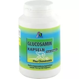 GLUCOSAMIN CHONDROITIN Kapsle, 120 ks