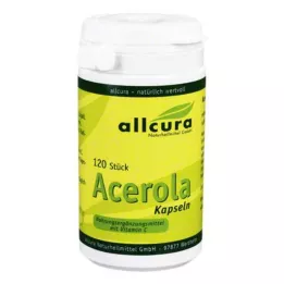 ACEROLA KAPSELN přírodní vitamin C, 120 ks