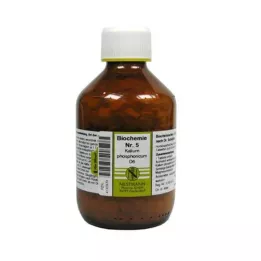 BIOCHEMIE 5 Kalium phosphoricum D 6 tablet, 1000 ks