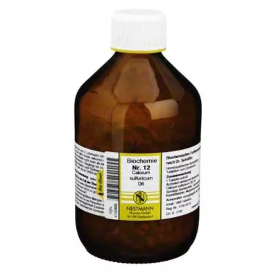 BIOCHEMIE 12 Calcium sulphuricum D 6 tablet, 1000 ks