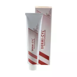 DERMI CYL Mast pro péči o pokožku, 100 g