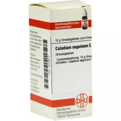 CALADIUM seguinum C 30 globulí, 10 g