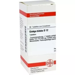 GINKGO BILOBA D 6 tablet, 80 ks