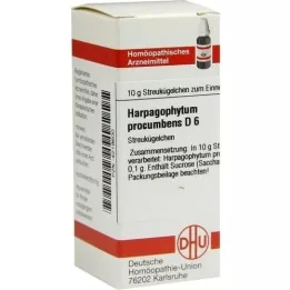HARPAGOPHYTUM PROCUMBENS D 6 globulí, 10 g