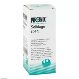 PHÖNIX SOLIDAGO spag.směs, 100 ml