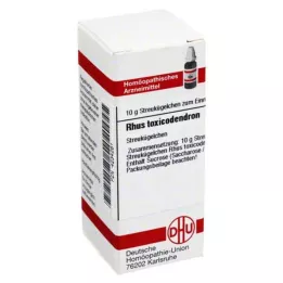 RHUS TOXICODENDRON C 1000 globulí, 10 g