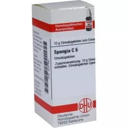 SPONGIA C 6 globulí, 10 g