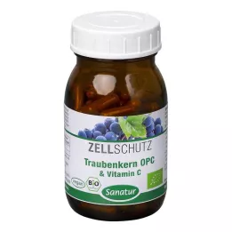 OPC TRAUBENKERN &amp; Vitamin C kapsle, 90 kapslí