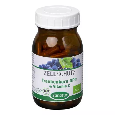 OPC TRAUBENKERN &amp; Vitamin C kapsle, 90 kapslí