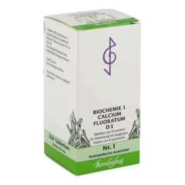 BIOCHEMIE 1 Calcium fluoratum D 3 tablety, 200 ks